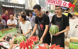 朝阳民众的吃瓜网,吃瓜网揭秘娱乐圈最新动态