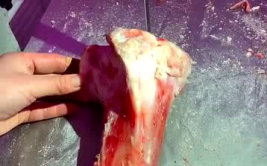 大棒骨网红,揭秘网络红人的崛起之路