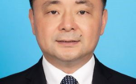 陈敏红网,网路红人的崛起与影响力
