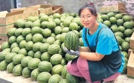 从“开盲盒”到“精准验”：“验瓜师”火了你“吃瓜”了吗？？吃瓜今日必吃