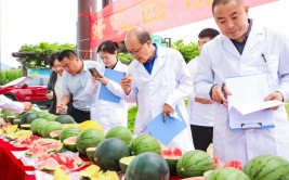中国人的“吃瓜自由”底气越来越足—吃瓜论坛有哪些
