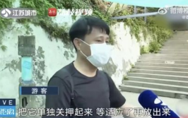 李明德直播有哪些网红吃瓜,网红齐聚一堂，吃瓜盛宴精彩纷呈