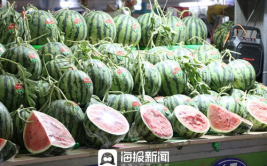 吉林市吃瓜网顾馨予,顾馨予带你领略本地美食风情